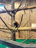 伊豆シャボテン動物公園に投稿された画像（2023/4/23）