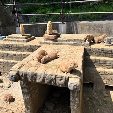 伊豆シャボテン動物公園に投稿された画像（2023/4/23）