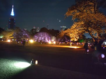 NAKED 桜の新宿御苑 2023に投稿された画像（2023/4/23）