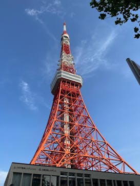 東京タワーに投稿された画像（2023/4/23）