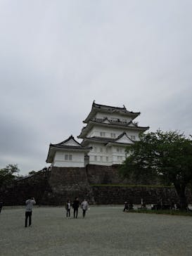 小田原城に投稿された画像（2023/4/23）