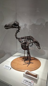 特別展「恐竜博2023」に投稿された画像（2023/4/23）