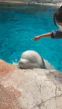 名古屋港水族館に投稿された画像（2023/4/24）