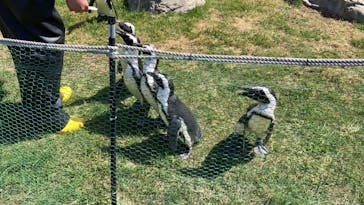 名古屋港水族館に投稿された画像（2023/4/23）