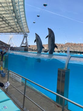 名古屋港水族館に投稿された画像（2023/4/23）