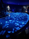 すみだ水族館に投稿された画像（2023/4/24）