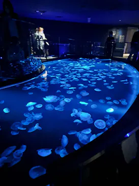 すみだ水族館に投稿された画像（2023/4/23）