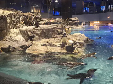 すみだ水族館に投稿された画像（2023/4/23）