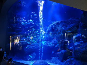 すみだ水族館に投稿された画像（2023/4/23）