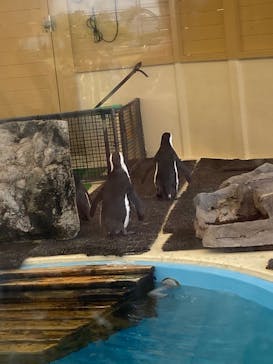 名古屋港水族館に投稿された画像（2023/4/23）