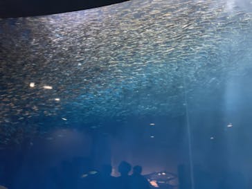 名古屋港水族館に投稿された画像（2023/4/23）