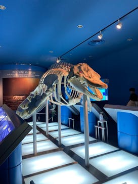 名古屋港水族館に投稿された画像（2023/4/23）