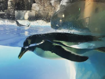 名古屋港水族館に投稿された画像（2023/4/23）