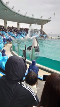 鴨川シーワールドに投稿された画像（2023/4/24）