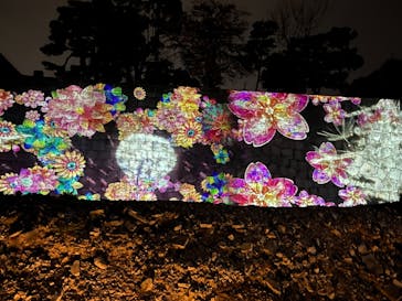 『NAKED FLOWERS 2023 桜 世界遺産・二条城』に投稿された画像（2023/4/24）