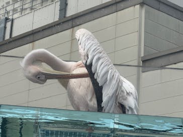 サンシャイン水族館に投稿された画像（2023/4/24）