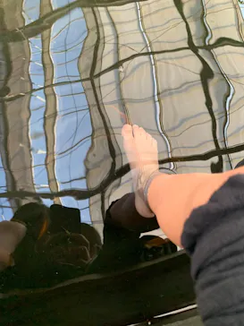 神戸どうぶつ王国に投稿された画像（2023/4/24）