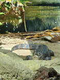 天王寺動物園に投稿された画像（2023/4/24）