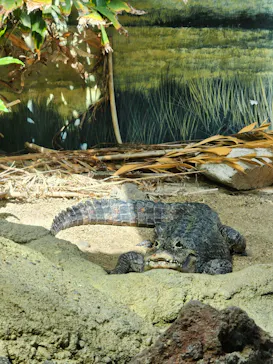 天王寺動物園に投稿された画像（2023/4/24）
