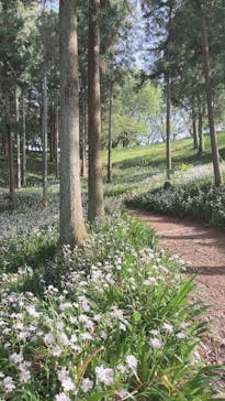 いばらきフラワーパークに投稿された画像（2023/4/24）