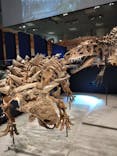 特別展「恐竜博2023」に投稿された画像（2023/4/24）
