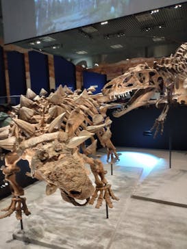 特別展「恐竜博2023」に投稿された画像（2023/4/24）