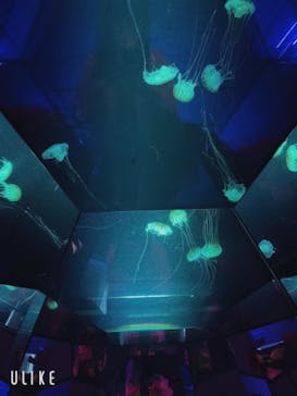 九十九島水族館海きららに投稿された画像（2023/4/24）