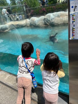 東武動物公園に投稿された画像（2023/4/24）