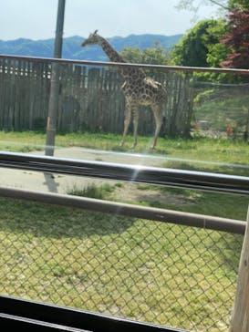 群馬サファリパークに投稿された画像（2023/4/24）