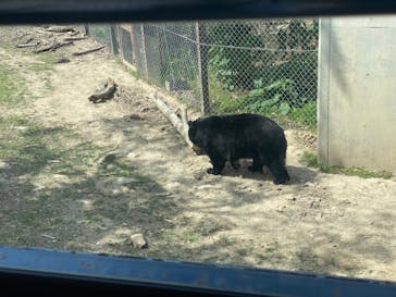 群馬サファリパークに投稿された画像（2023/4/24）