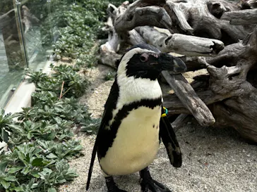 仙台うみの杜水族館に投稿された画像（2023/4/24）