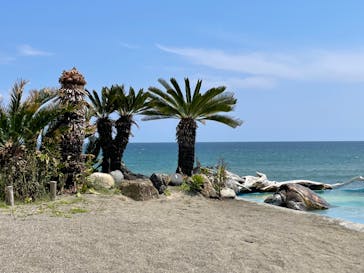 鴨川シーワールドに投稿された画像（2023/4/24）