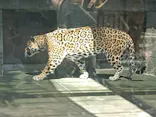 天王寺動物園に投稿された画像（2023/4/24）