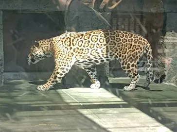 天王寺動物園に投稿された画像（2023/4/24）