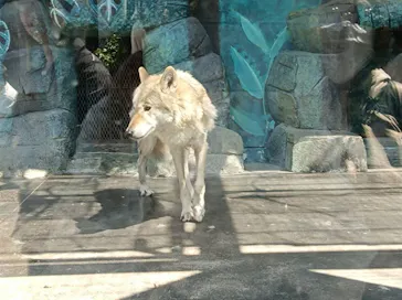 天王寺動物園に投稿された画像（2023/4/24）