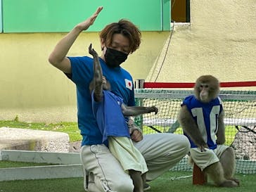 おさるランド＆アニタウン　日光さる軍団劇場に投稿された画像（2023/4/24）