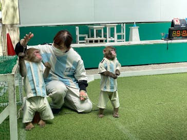 おさるランド＆アニタウン　日光さる軍団劇場に投稿された画像（2023/4/24）