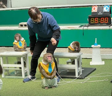 おさるランド＆アニタウン　日光さる軍団劇場に投稿された画像（2023/4/24）