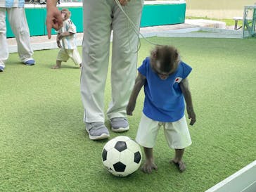 おさるランド＆アニタウン　日光さる軍団劇場に投稿された画像（2023/4/24）