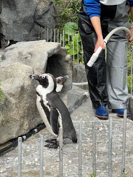 サンシャイン水族館に投稿された画像（2023/4/24）