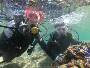 武藤潜水に投稿された画像（2023/4/24）