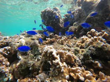 武藤潜水に投稿された画像（2023/4/24）