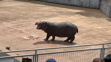 東武動物公園に投稿された画像（2023/4/24）