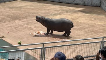 東武動物公園に投稿された画像（2023/4/24）