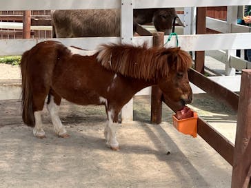 東武動物公園に投稿された画像（2023/4/24）