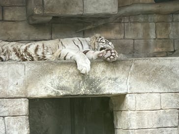 東武動物公園に投稿された画像（2023/4/24）