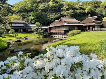 三溪園に投稿された画像（2023/4/24）