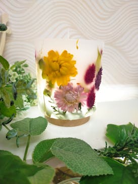 ずこうしつ〜sugamo〜に投稿された画像（2023/4/24）