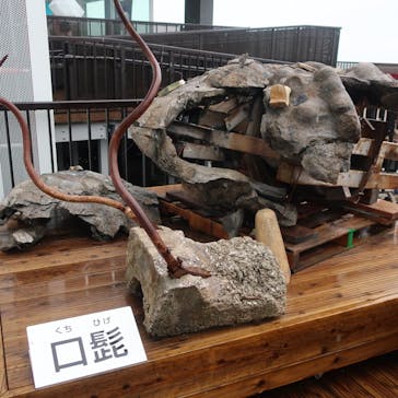 首里城公園 有料区域に投稿された画像（2023/4/24）