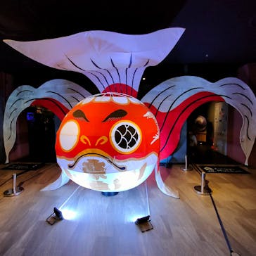 NARA KINGYO MUSEUMに投稿された画像（2023/4/24）